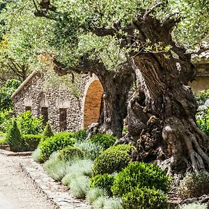 Domaine Les Mesanges Гассен